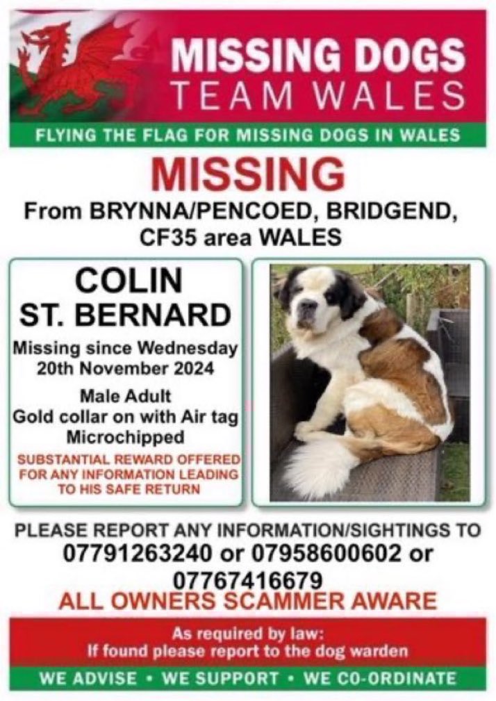 LisaClareRead2's tweet photo. Please RT Colin is still missing 😢
Have you seen him? 
Missing since 20th November 2024, now presumed stolen. 
Taken from #Brynna / #Pencoed area #Bridgend 

Please help get him home 🙏 
⬇️⬇️

#StBernard #StolenColin #sundayvibes #Stolendoghour https://t.co/IhNikQvufo