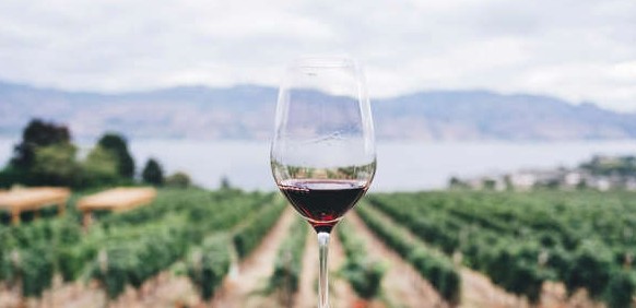 John Houlihan tweet media