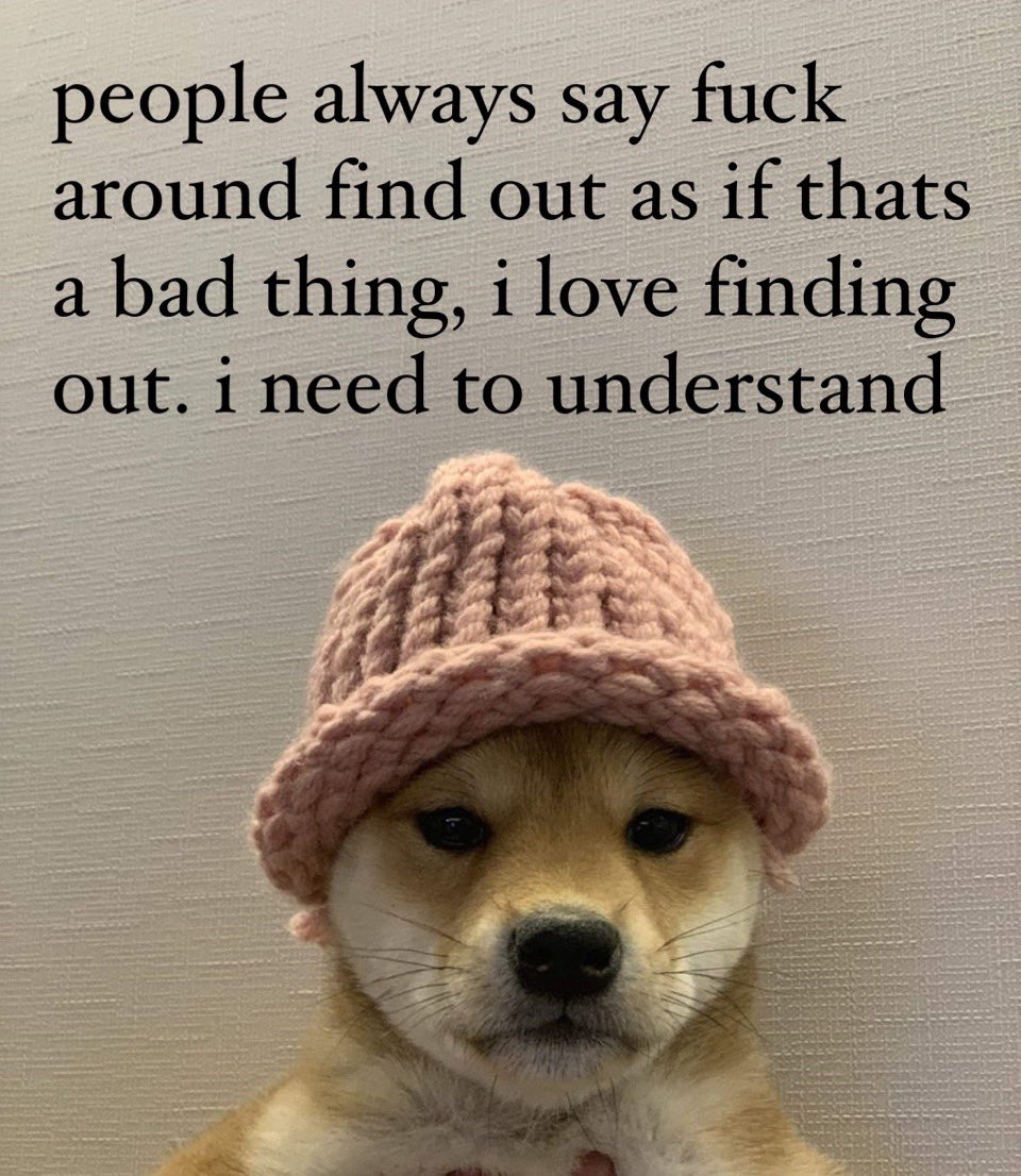 dogwifcoin (@dogwifcoin) on Twitter photo 