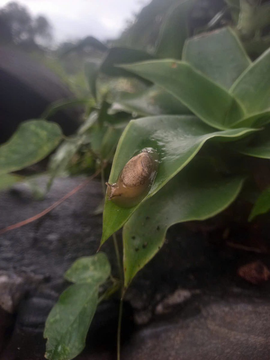 Anry May (@anry_may) on Twitter photo 