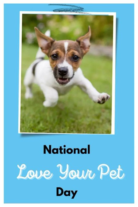 Mark your calendar! National Love Your Pet Day is coming up on February 20! Here are 10 fun ways to celebrate the pet holiday with your dog dogtipper.com/national-love-…