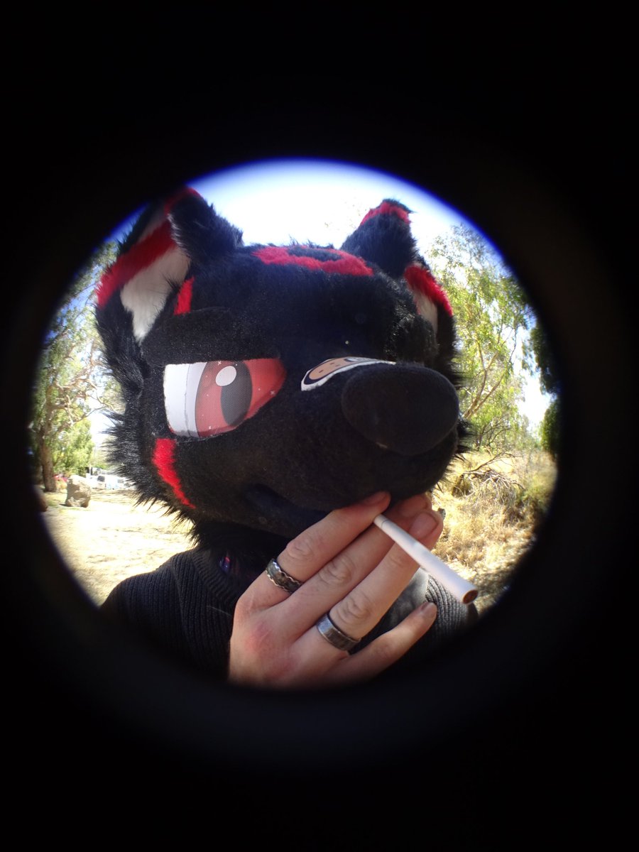 SolarEclipsey_Bwe 🔜 FURDU tweet media