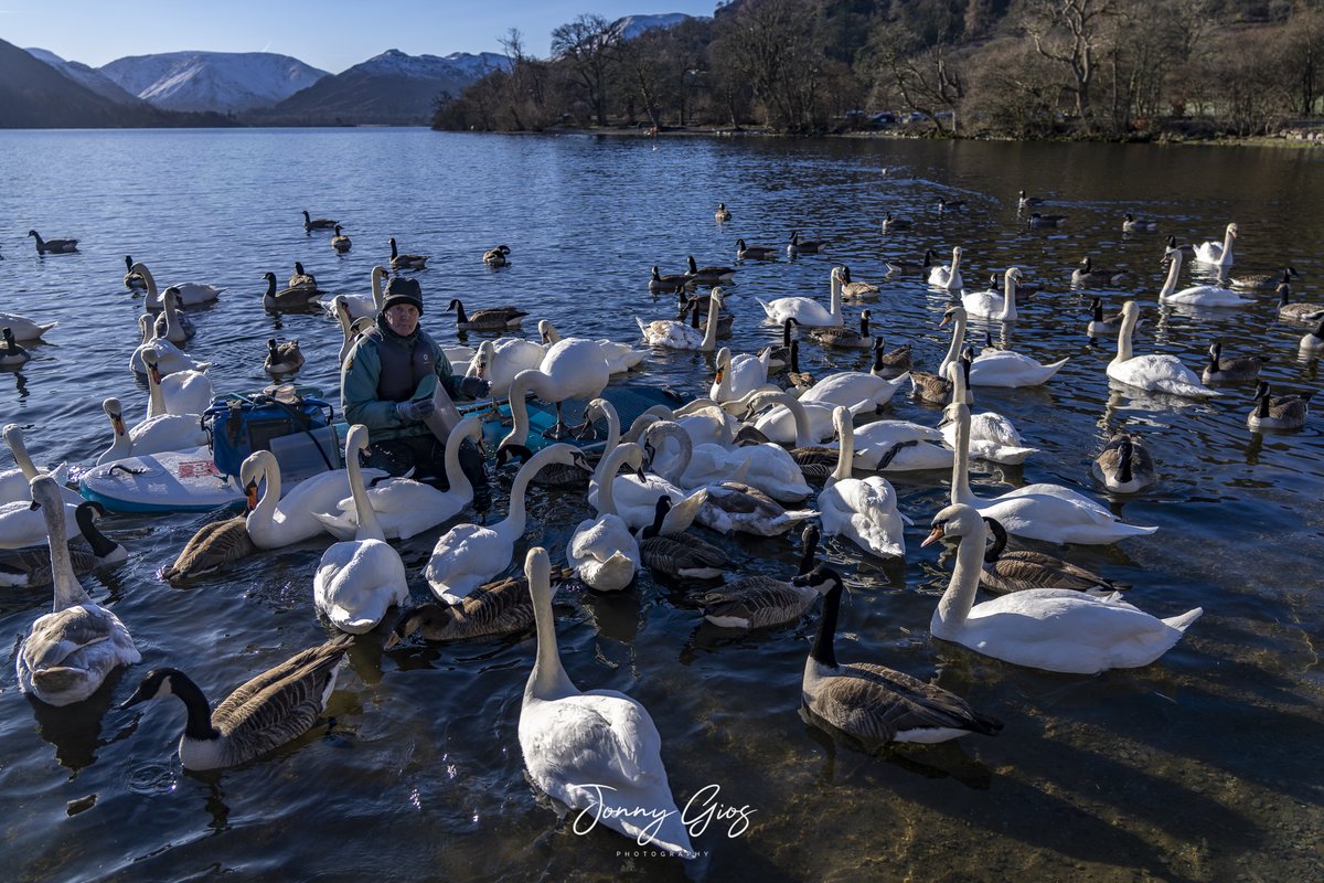 Jonny Gios tweet media