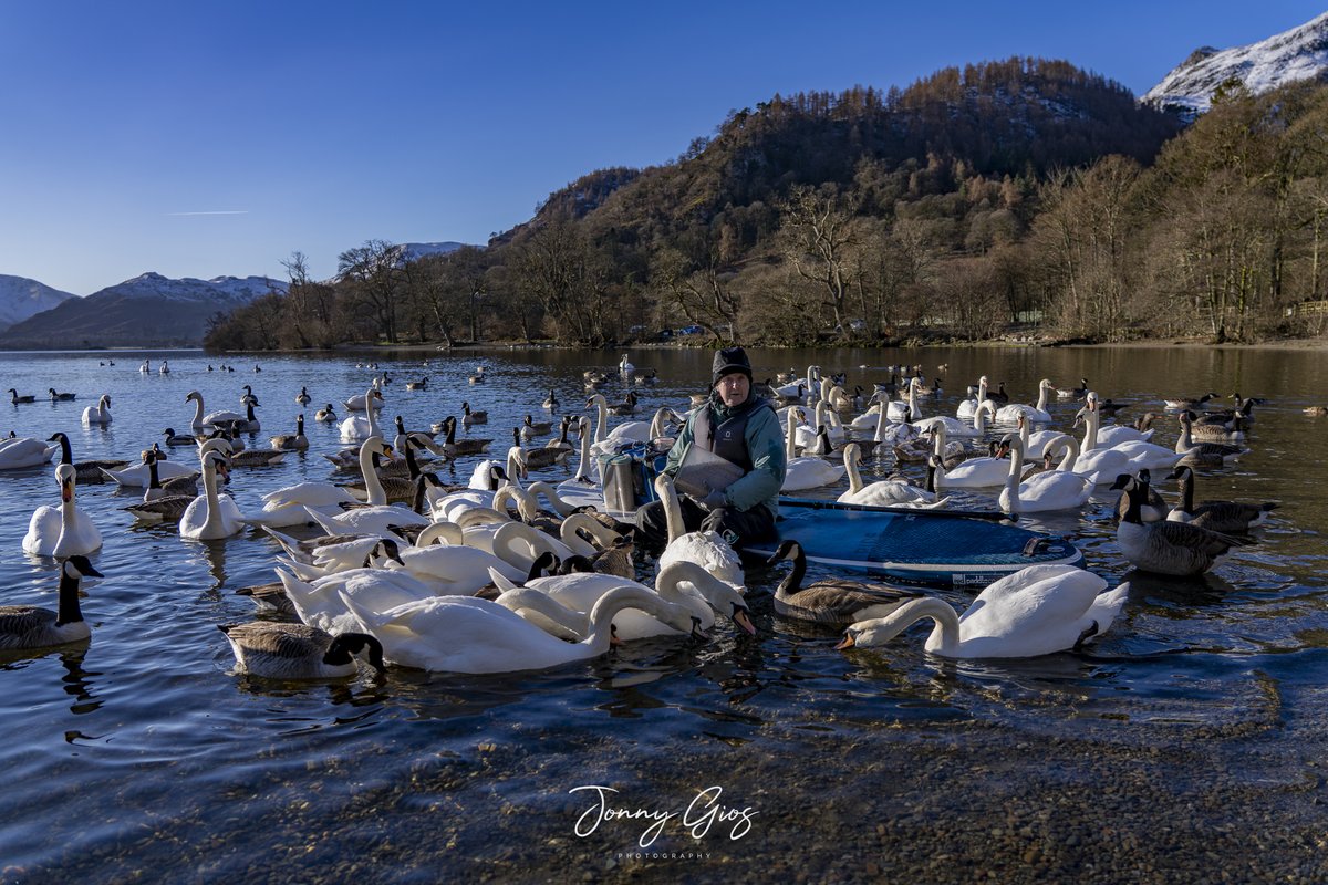 Jonny Gios tweet media