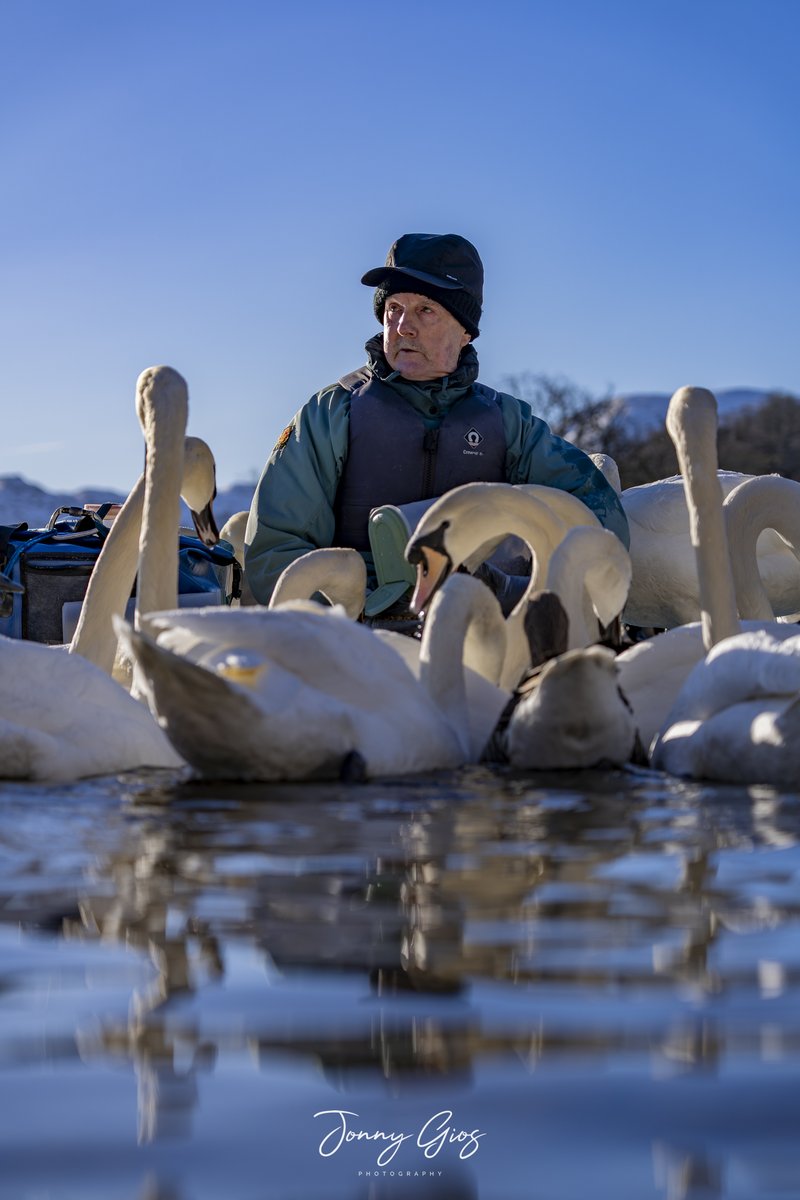 Jonny Gios tweet media