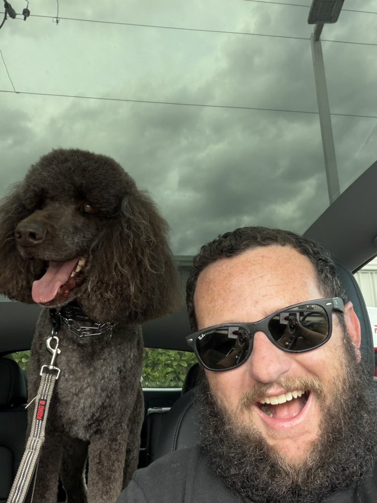 Bearded Tesla tweet media