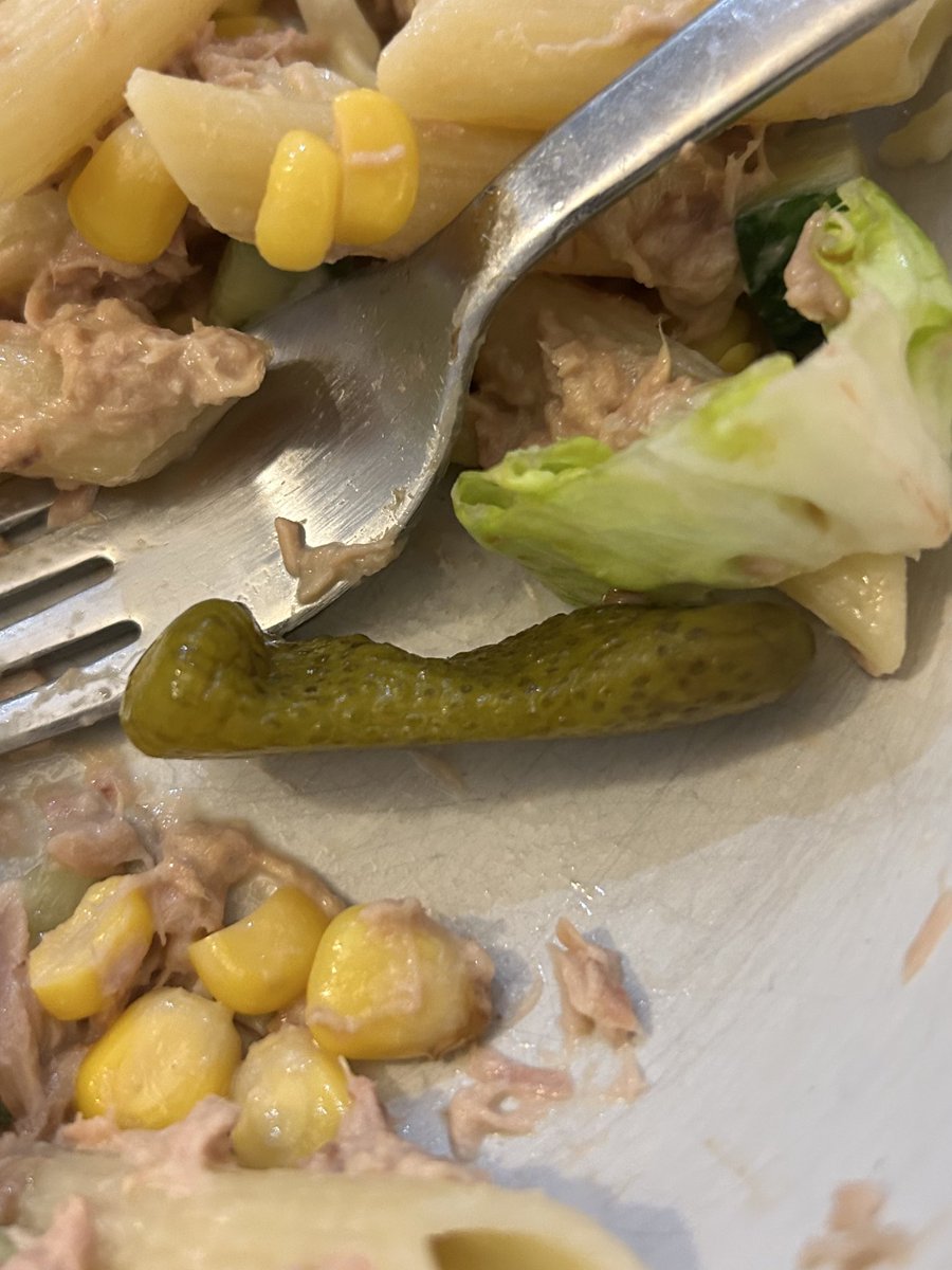 why is my mini pickle giving sadam hussein hiding spot