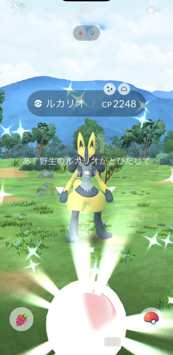 とら@ポケGO他譲渡等 tweet media