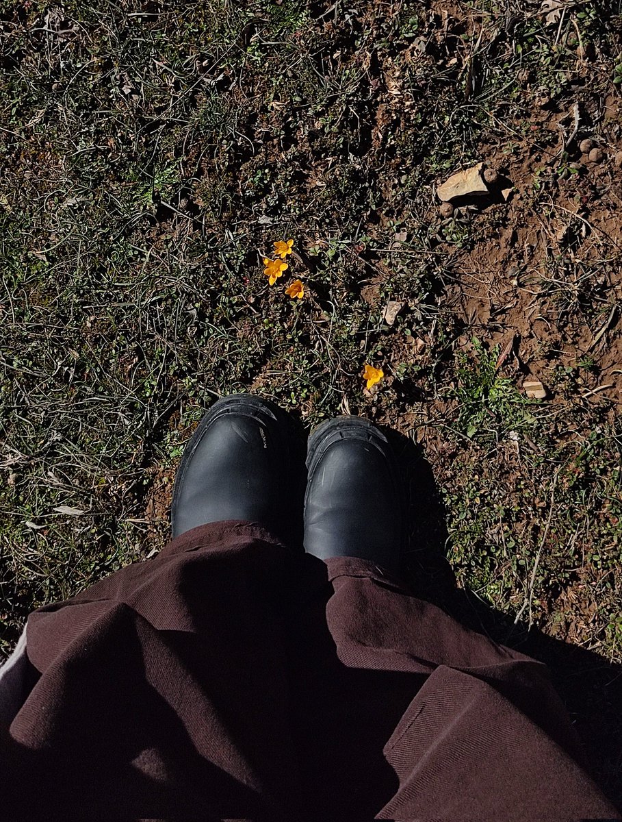 Çakma Fadime Koçari oldum bugün 🍂🏔️