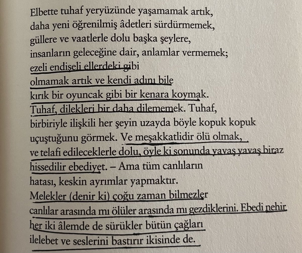 karayiplerden's tweet photo. “ve telafi edileceklerle dolu” https://t.co/osD0EWyp0B