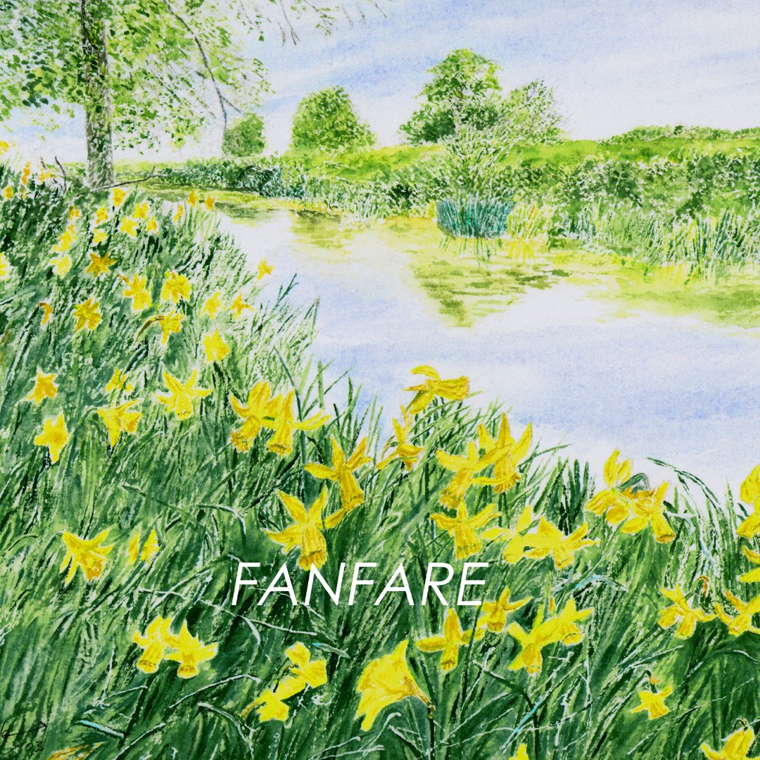 grenvilleallen's tweet image. NEW 20 X 20 cm miniature available soon in the super Cygnet 🦢
*
#artartart🎨 #springisonitsway🌷🌹🌱 #daffodils🌼 #artistssupportingartists❤️