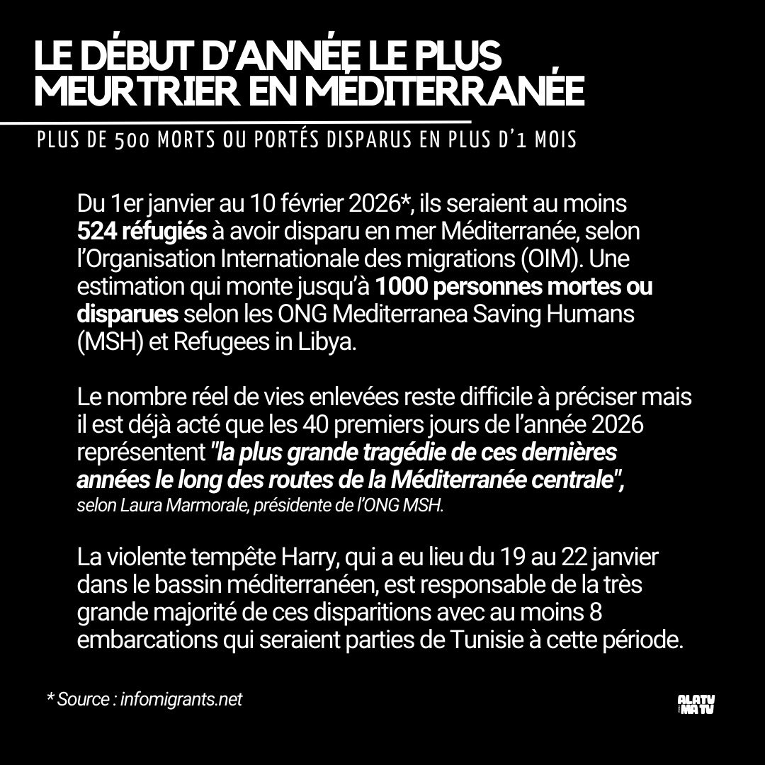 Célia (Alouicerlia RIP) tweet media