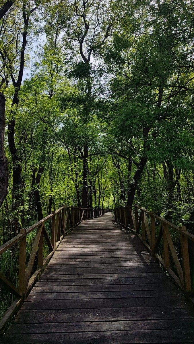 Kırgın, yorgun ama ümit hiç bitmiyor o yolda...