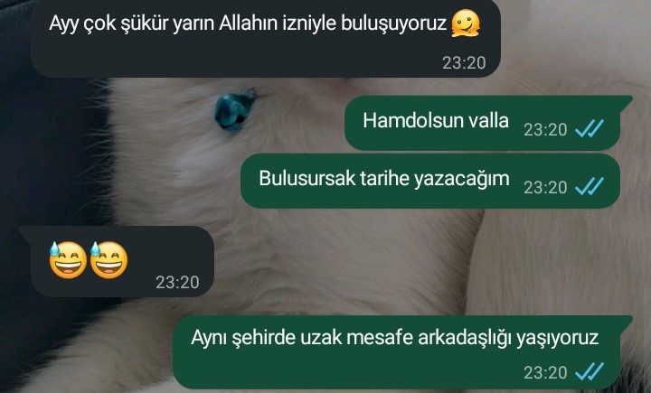 Bacımla şu şekil yaşıyoruz, mentaliteyi düşünemiyorum o yüzden