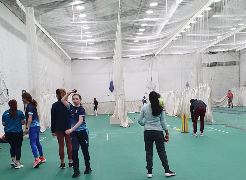 Cricket Leinster tweet media