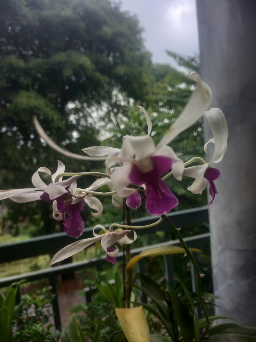 Anry May (@anry_may) on Twitter photo 