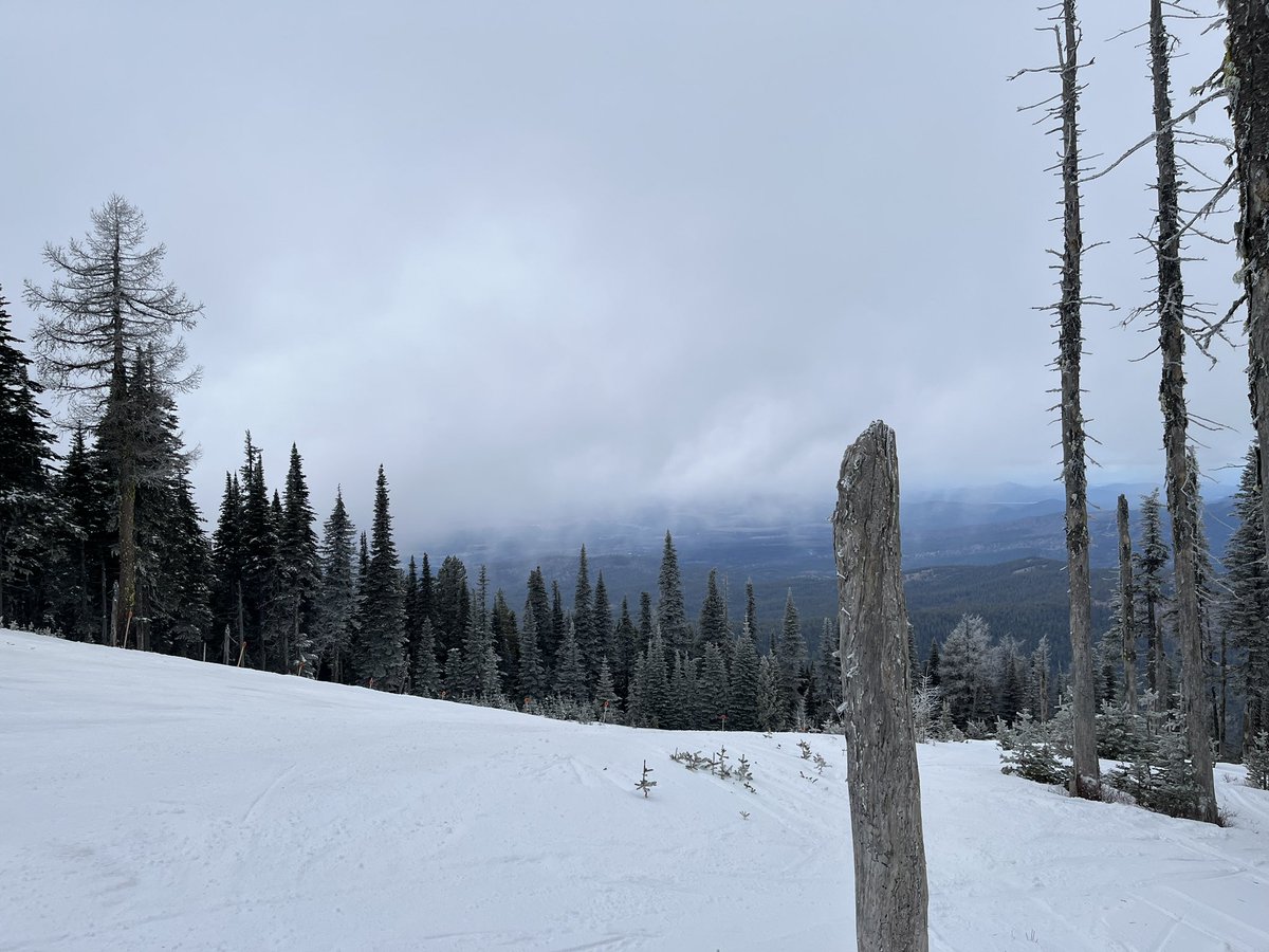 Don Pawluk tweet media