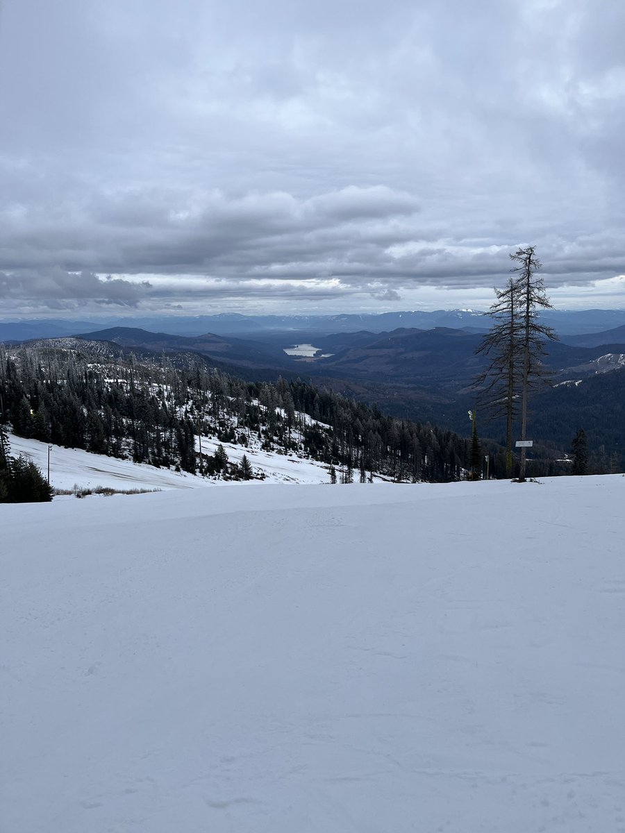 Don Pawluk tweet media