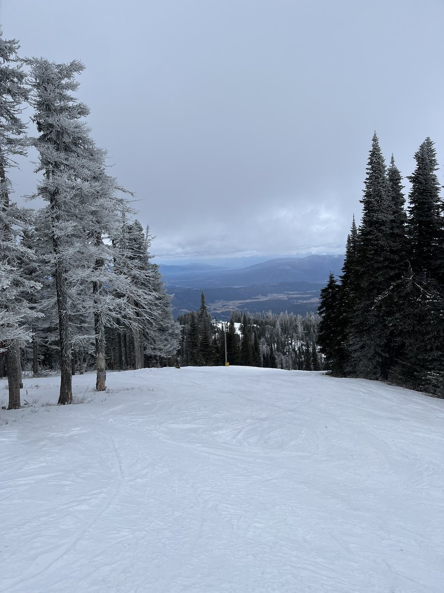 Don Pawluk tweet media