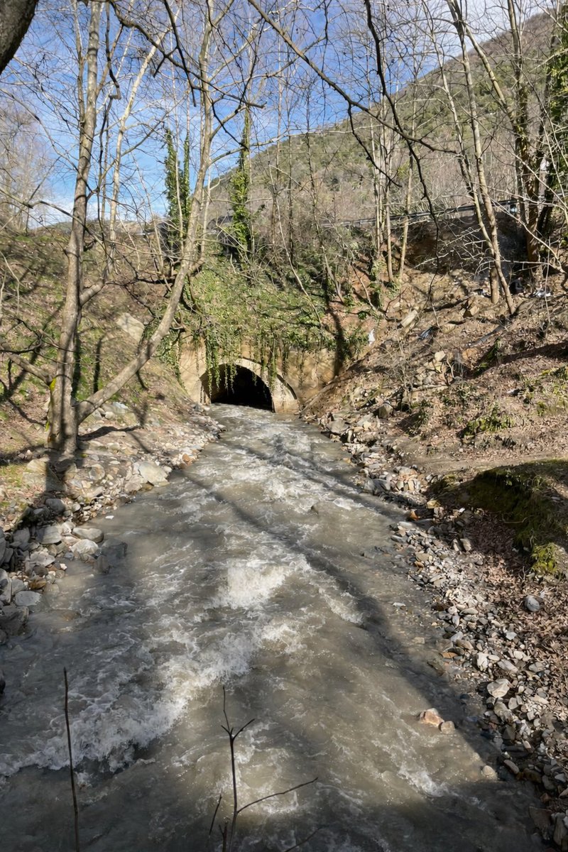ZubeydeHonluk's tweet photo. Suyun sesi bütün düşünceleri susturuyor.
Bazen en iyi terapi sadece doğadır.
#Doğa #Huzur #Yürüyüş #Keşfet #DoğaFotoğrafı #NatureTurkey https://t.co/YpaaCxYGBN