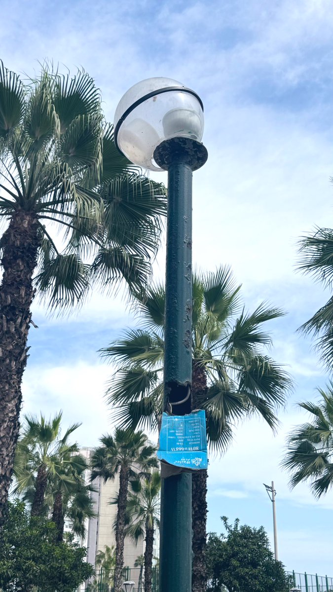 Eduardo Calderón tweet media