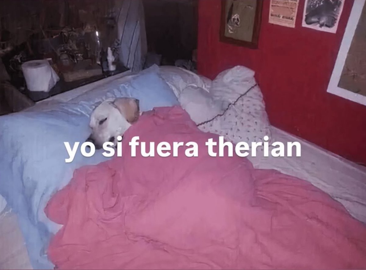 cornulda's tweet image. 