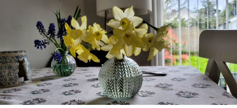 AggieMac8's tweet photo. #FlowersForBarbara  💛
@BellaShihTzuAce https://t.co/nX5nse8kCs