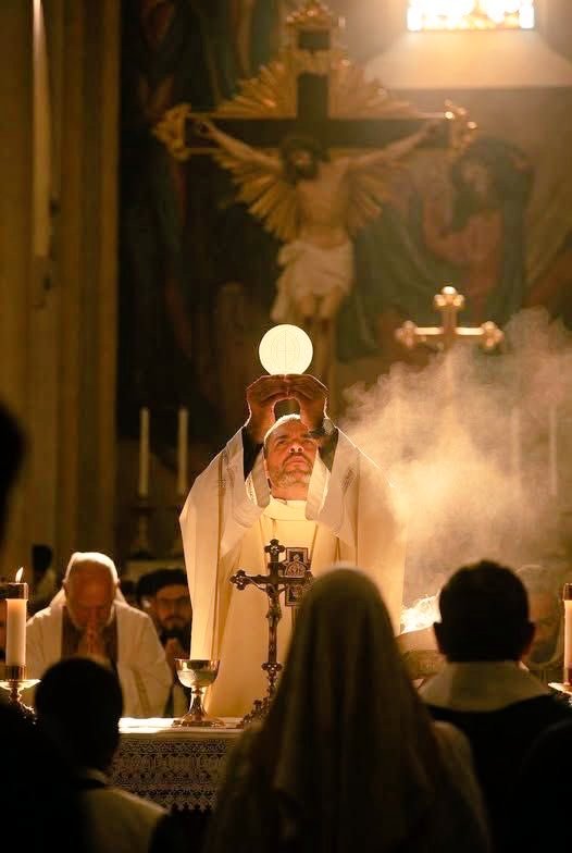 Indigno soy de que entre en mi casa
Pero una palabra tuya bastará para sanarme 🙏