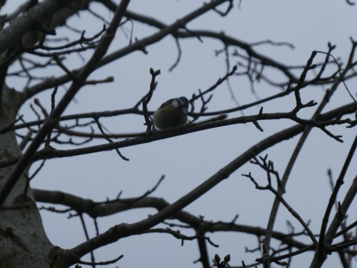 Nature photographer & professional dawdler Isla tweet media