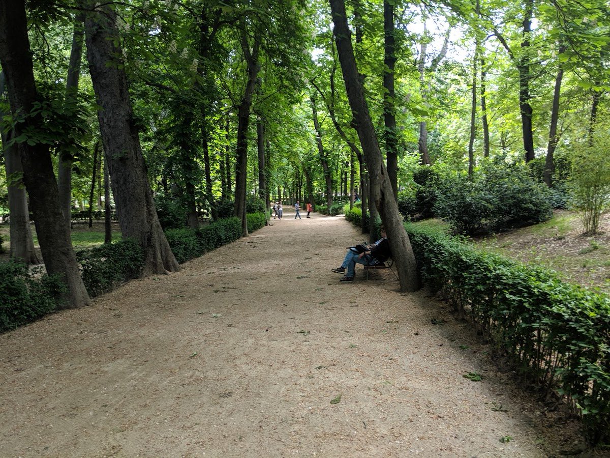 calvinfroedge's tweet photo. Madrid - maybe the best big city in the world

El Retiro - perhaps the best urban park in the world

Spend a few weeks here https://t.co/tLeADho3SF