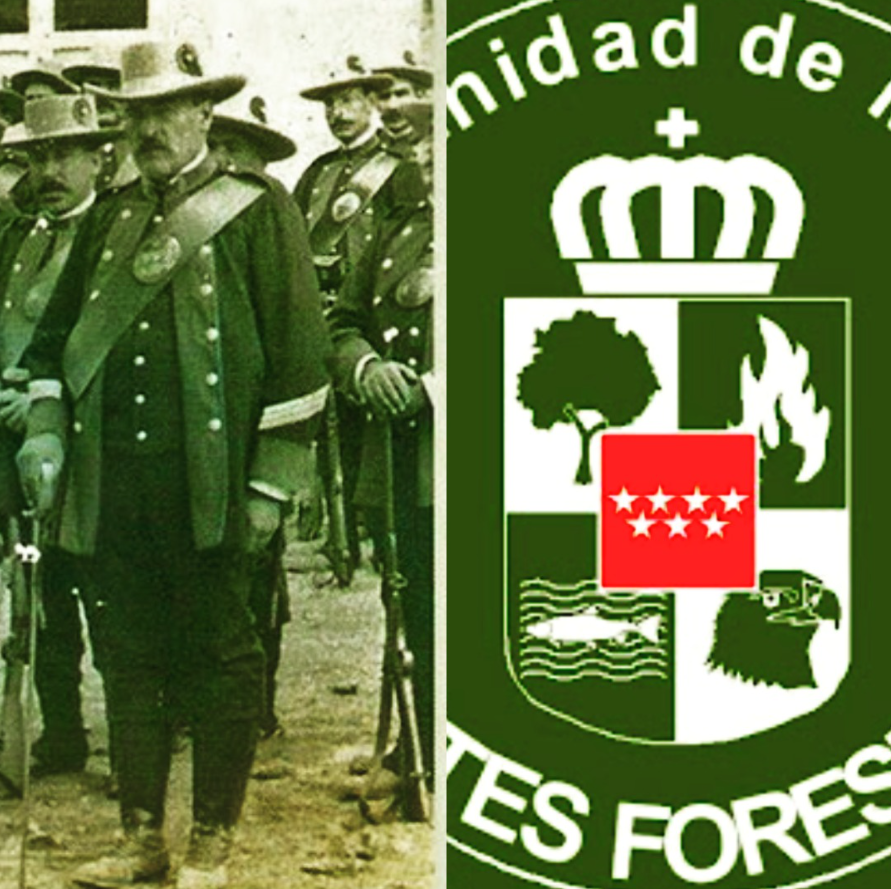 El Cuerpo de #AgentesForestalesCM 👮‍♂️🚔🦅 se creó por Ley en el año 2002, aunque su origen data desde 1877 cuando fue creada por el Rey Alfonso XII la figura de «Capataces de cultivo» encomendados a proteger los bosques y montes públicos. 

#PoliciaMedioambiental