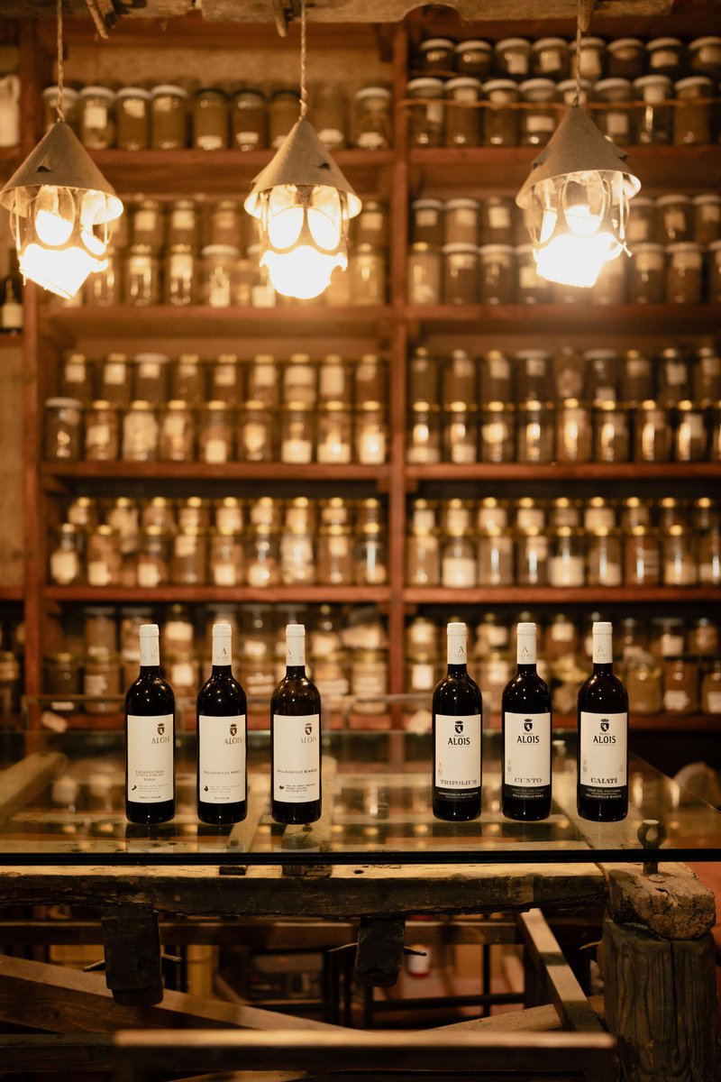 Vini dell' Alta Campania 
#vinialois