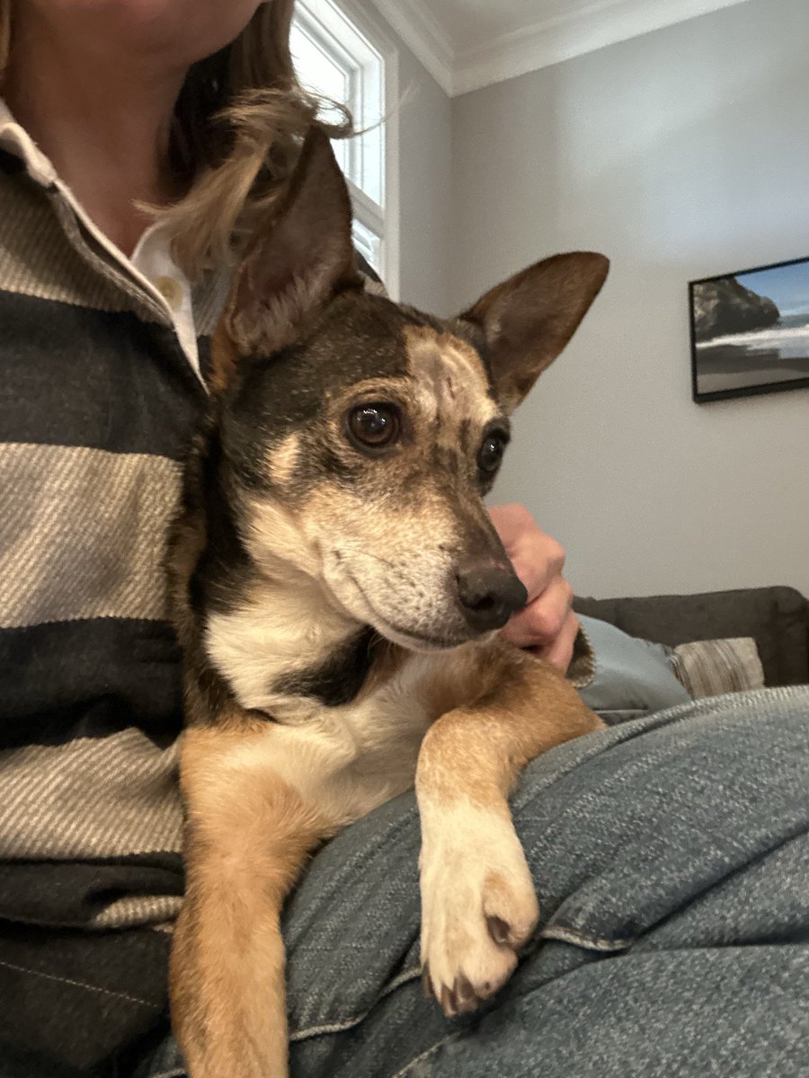 Alex Wilson tweet media