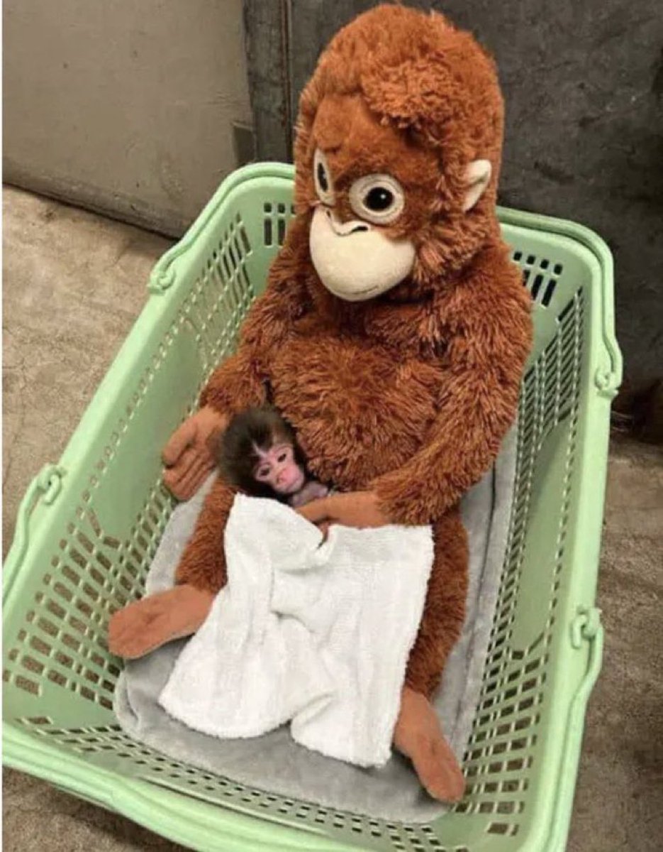 bro that's his momma i'm gonna kms rn