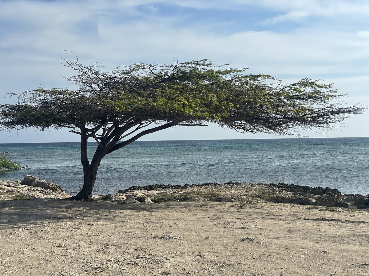 Amos King - lucky husband tweet media