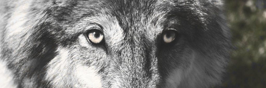 it's neo!! tweet media