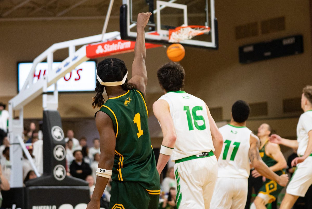 Bison Report tweet media