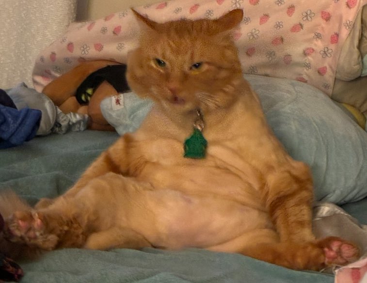 🔞jules tweet media