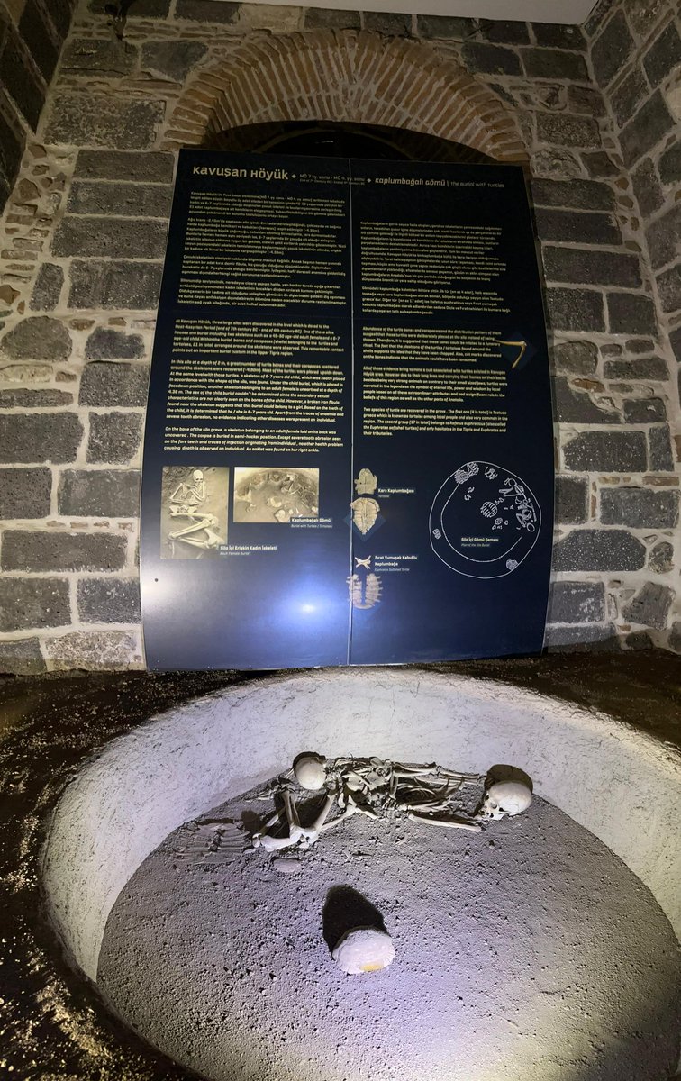 tbeyza14's tweet photo. 📍Museum/Diyarbakır https://t.co/qHhfPU5r60