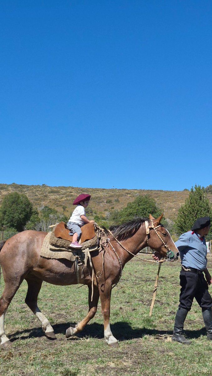 IbargurenM (@ibargurenm) on Twitter photo 