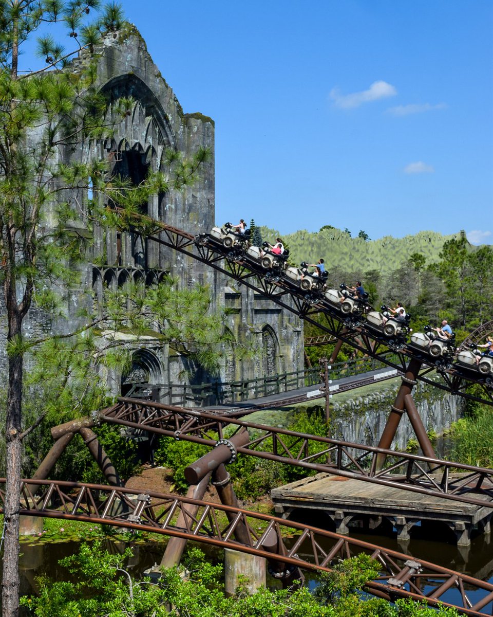 Magestical Rides Not your average roller coaster ride.