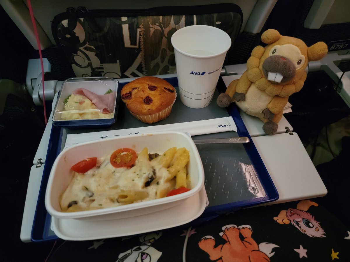 Pyroar's tweet photo. Found a shiny Psyduck while on the flight to Tokyo! We landed yesterday evening, and I can't wait to show my partner the nearby Pokémon Centers! 💙✨️ #Maxadventures https://t.co/4QLwEXK0tO