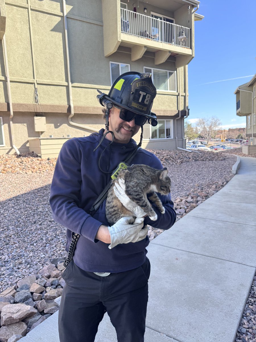 CSFDPIO's tweet image. #ColoradoSpringsFire Truck 8 was called to help out one of our city’s furry friends . It’s hard to see but this little one was stuck 3 stories up on the roof and quickly realized it’s easier going up than coming down. Our Truckies reunited the kitten with family and was very