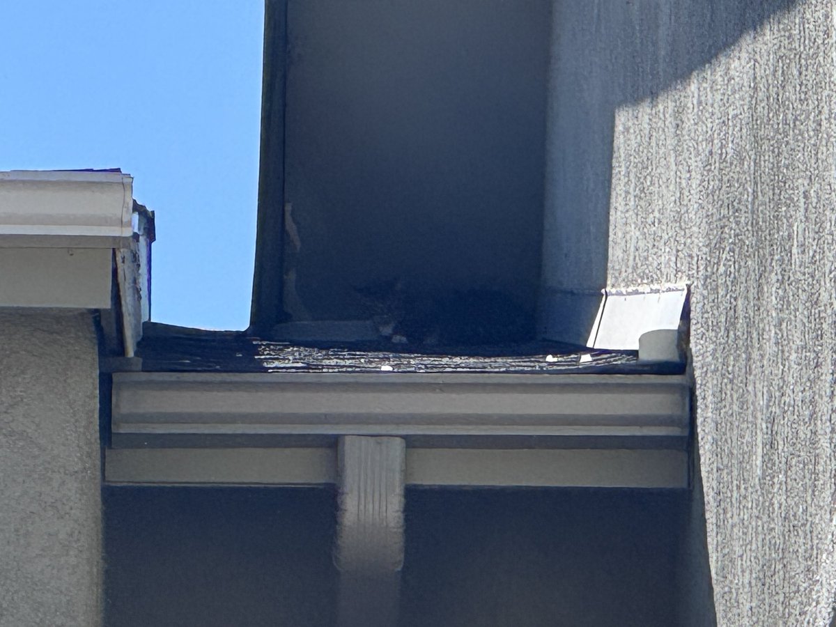 CSFDPIO's tweet image. #ColoradoSpringsFire Truck 8 was called to help out one of our city’s furry friends . It’s hard to see but this little one was stuck 3 stories up on the roof and quickly realized it’s easier going up than coming down. Our Truckies reunited the kitten with family and was very