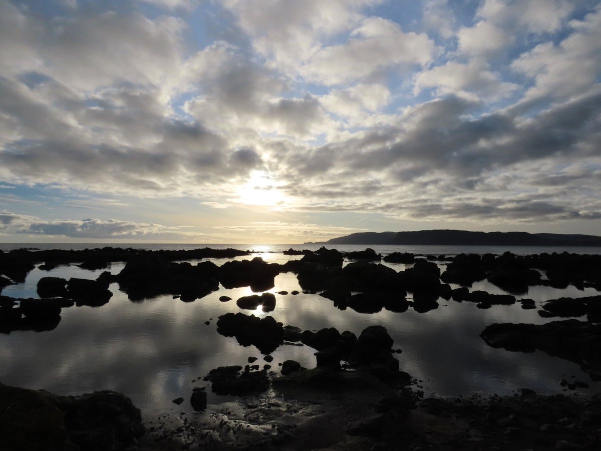 Rathlin Stickybeak tweet media