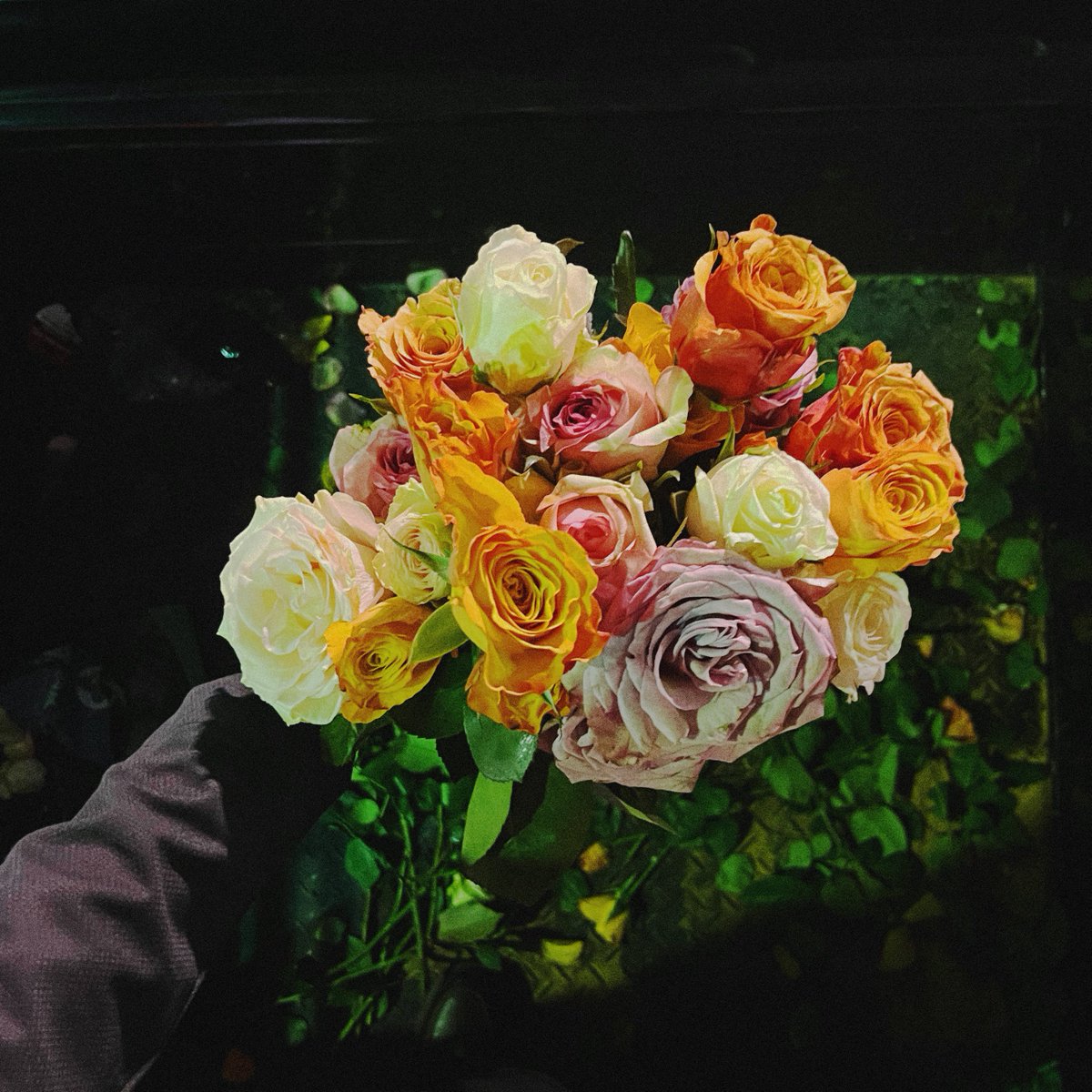 إِبراهـيم tweet media