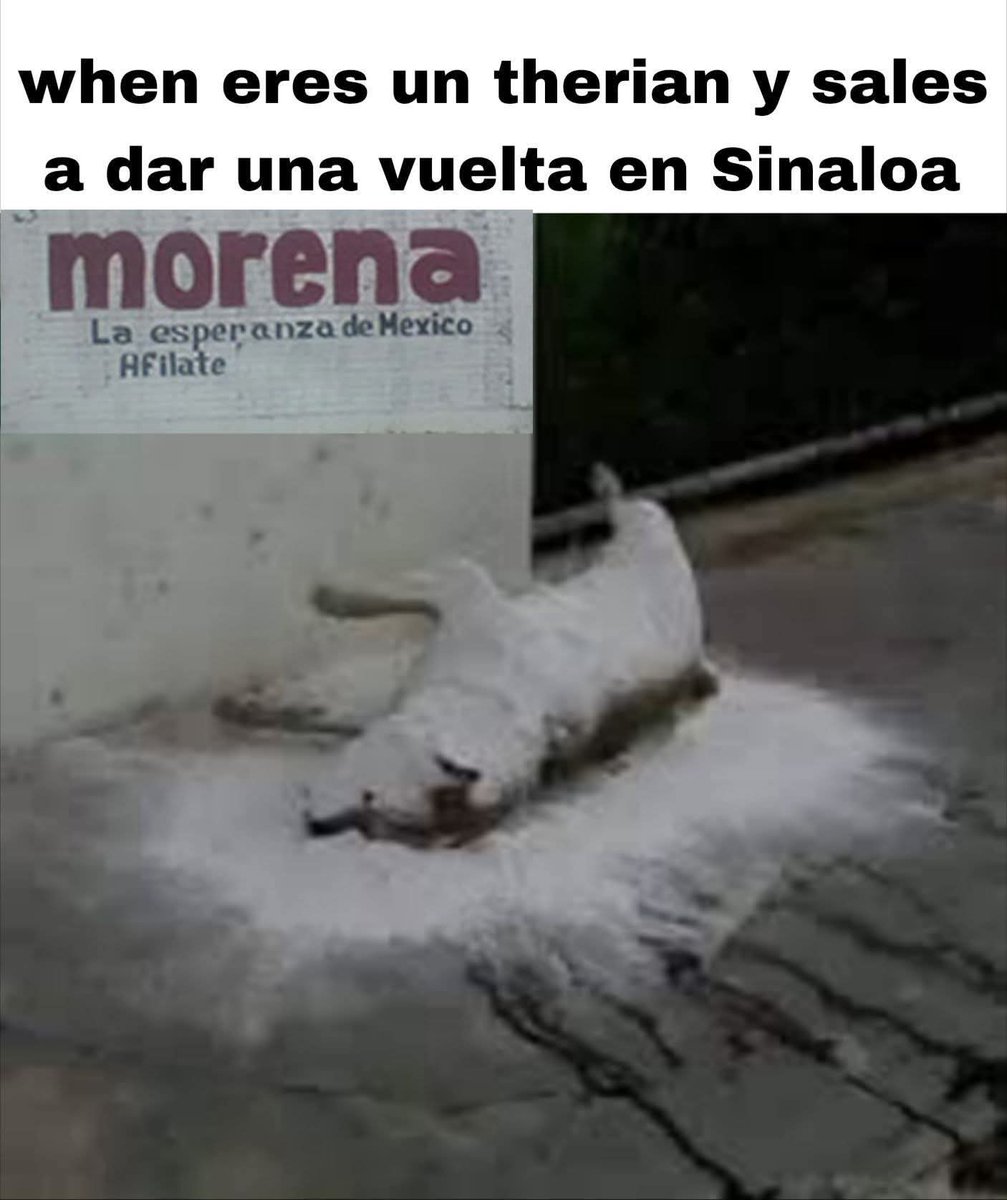 ✏️Ruffertro RuffArt 🖼️🎨 tweet media