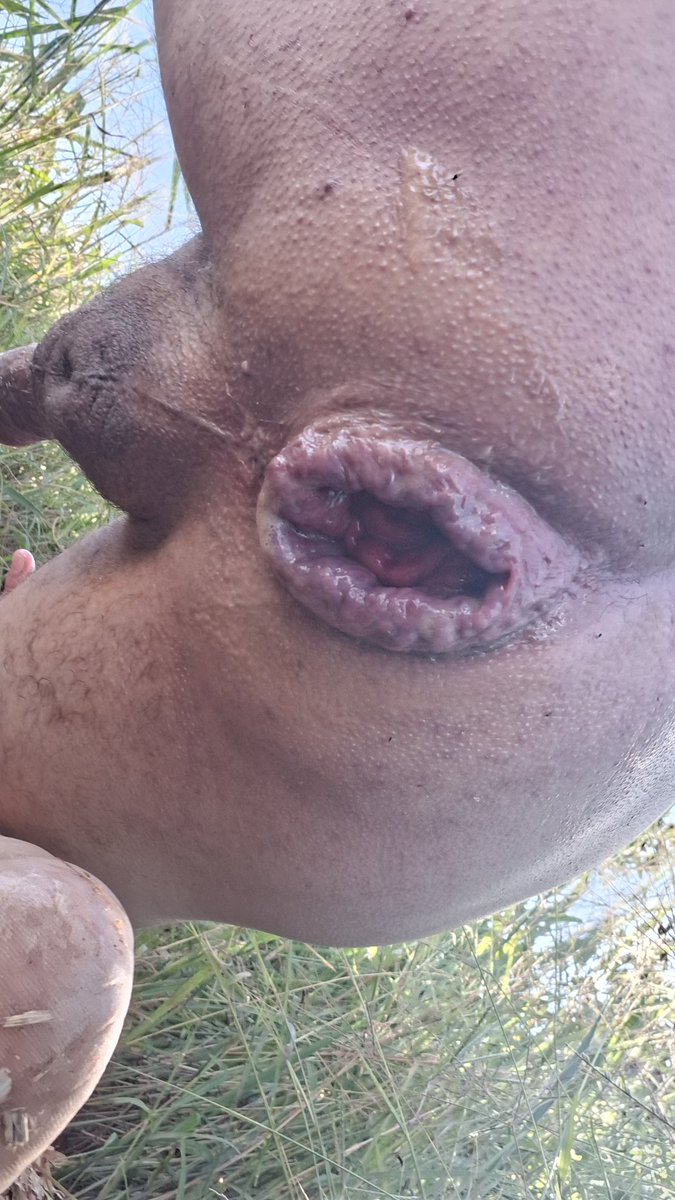 Cuceta de Macho-DF tweet media