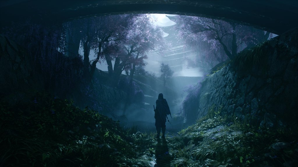 Jonathon Gregory Bick 🦑 tweet media