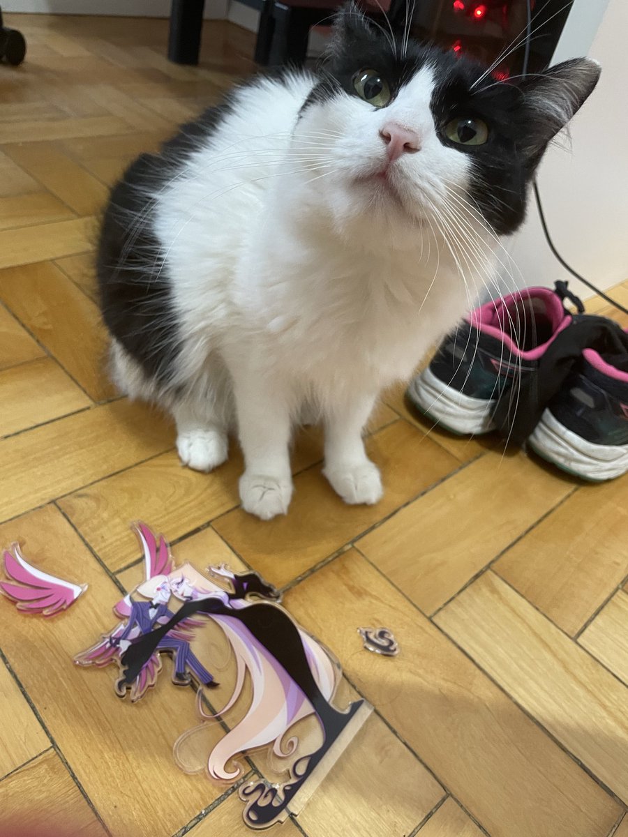 The quality is great but it is not cat proof